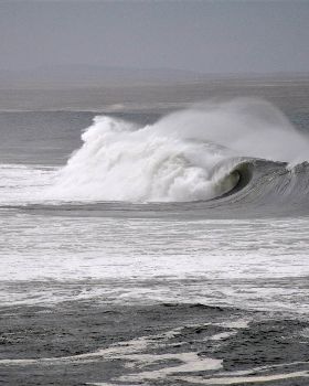 Wave1
