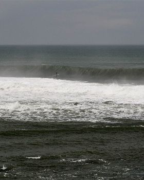 Nobbys Big Surf 5