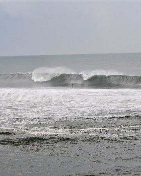 Bail1