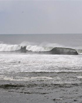 Bail3