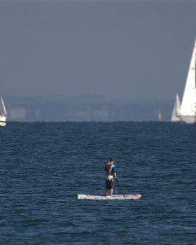 mad paddle
