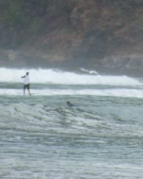 SUP at Taupo Bay
