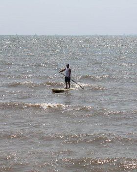 Stand Up Paddle
