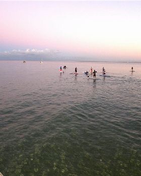 mad paddle
