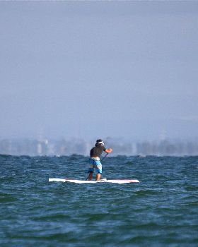 mad paddle