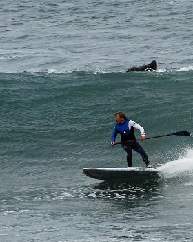 Stand Up Paddle