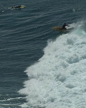 Stand Up Paddle