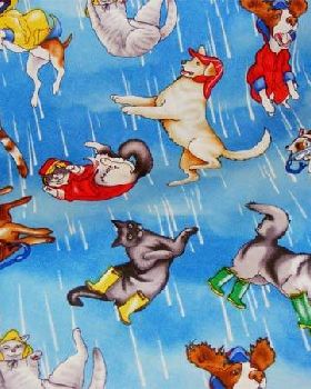 cats & dogs