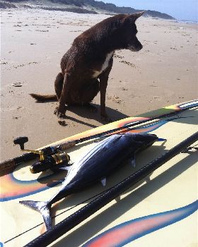 Stand Up Paddle