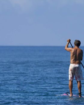 Stand Up Paddle