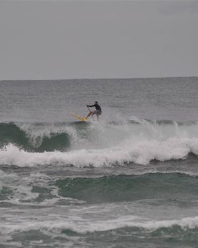 Stand Up Paddle
