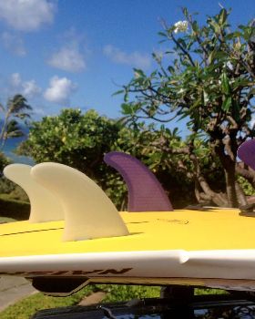 fins