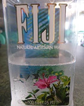 P1010506