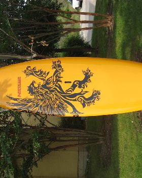 right board for my needs?