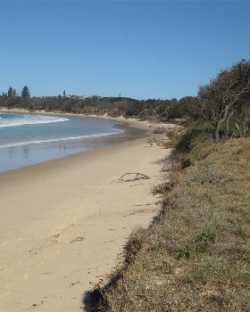 Scotts Head signs 018