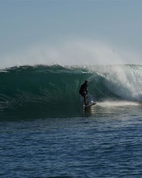 DSC02230
