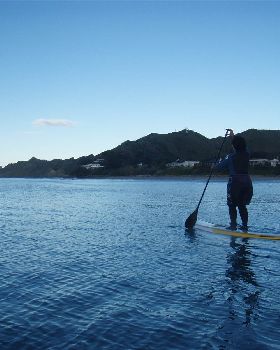 Stand Up Paddle