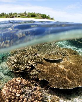 1. Namotu Island