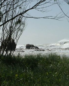 big surf 020