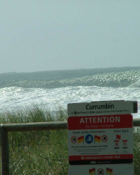 big surf 008