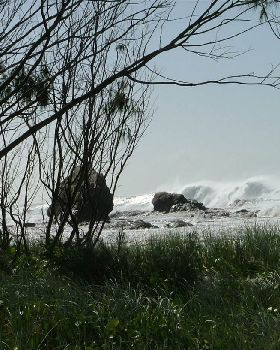 big surf 021