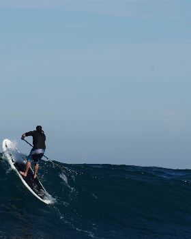 DSC02520