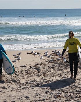Stand Up Paddle