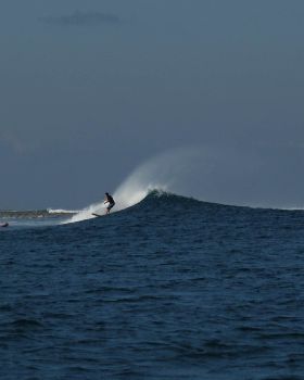 DSC03453