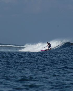 DSC03493