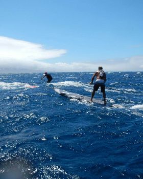 Stand Up Paddle