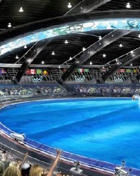 surf olympics