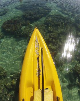 Fijian SUP