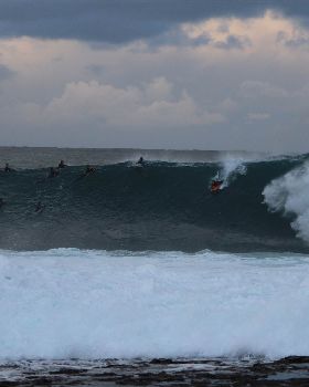 family and surf 249