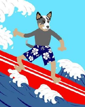 austrailancattledog