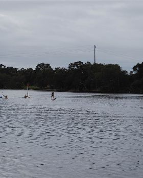 Stand Up Paddle