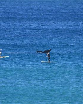 Stand Up Paddle