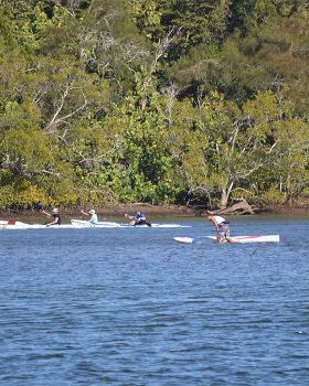Stand Up Paddle