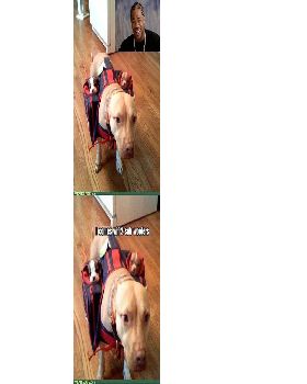 subwoofers