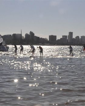 Stand Up Paddle