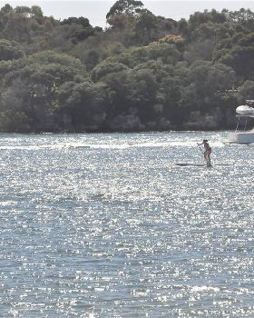 Stand Up Paddle