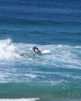 Stand Up Paddle