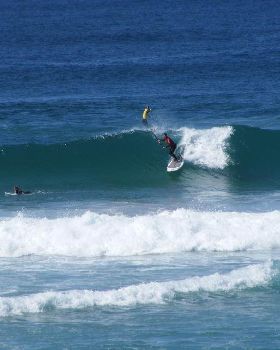 Stand Up Paddle