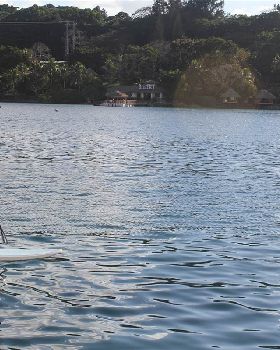 Stand Up Paddle