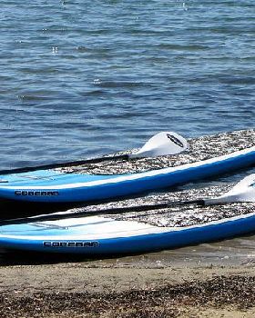 Stand Up Paddle