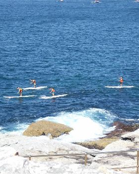 Stand Up Paddle
