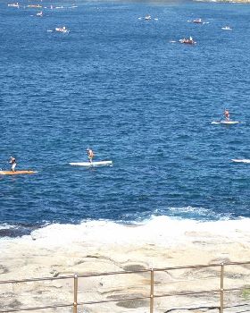 Stand Up Paddle