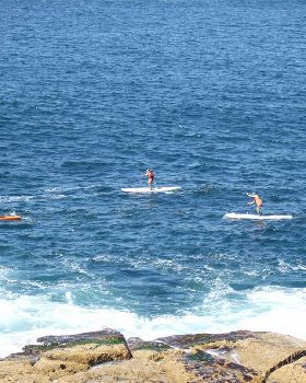 Stand Up Paddle