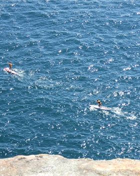 Stand Up Paddle
