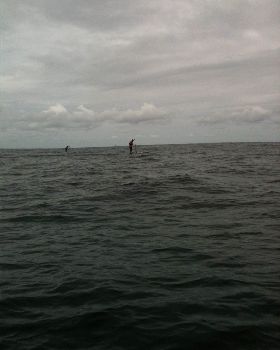 NARRABEEN RACE 004