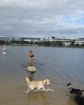 Stand Up Paddle